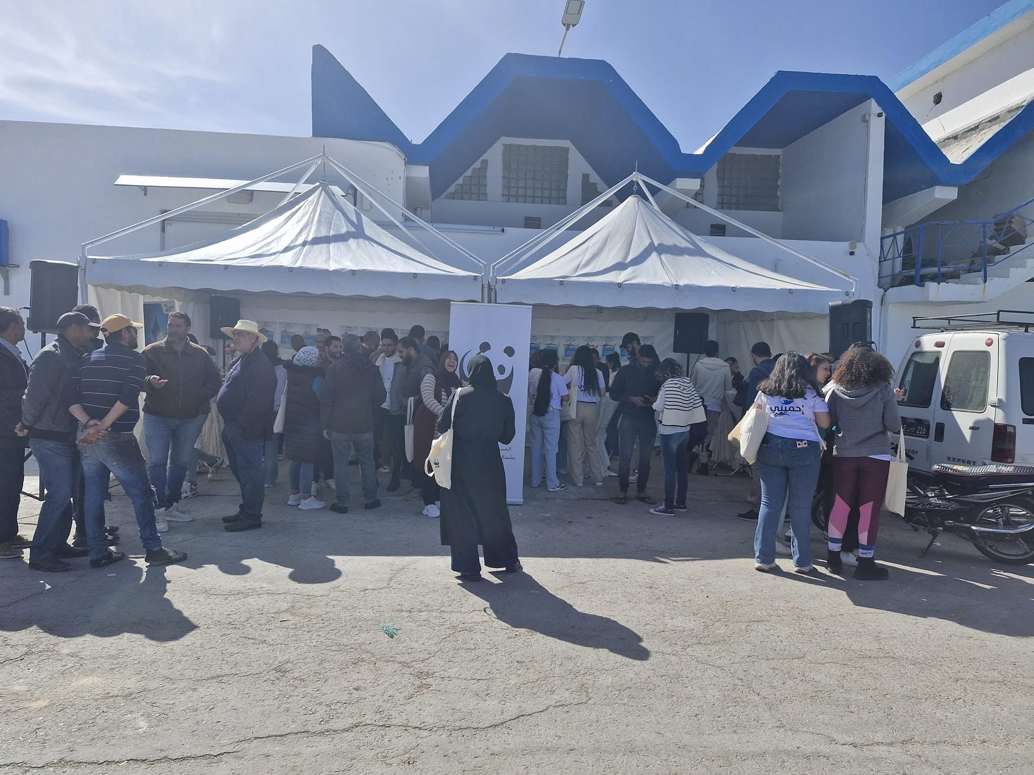 shark camp in djerba 4