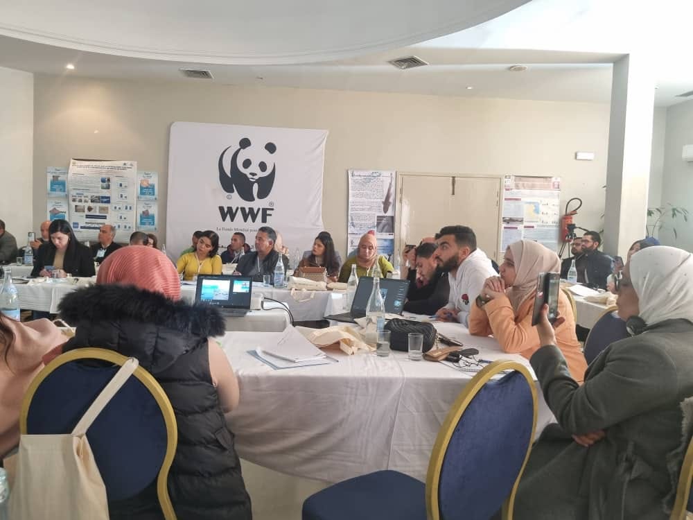 shark camp in djerba