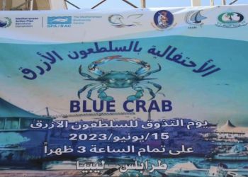 Blue Crab Awareness Day 14 20e00920