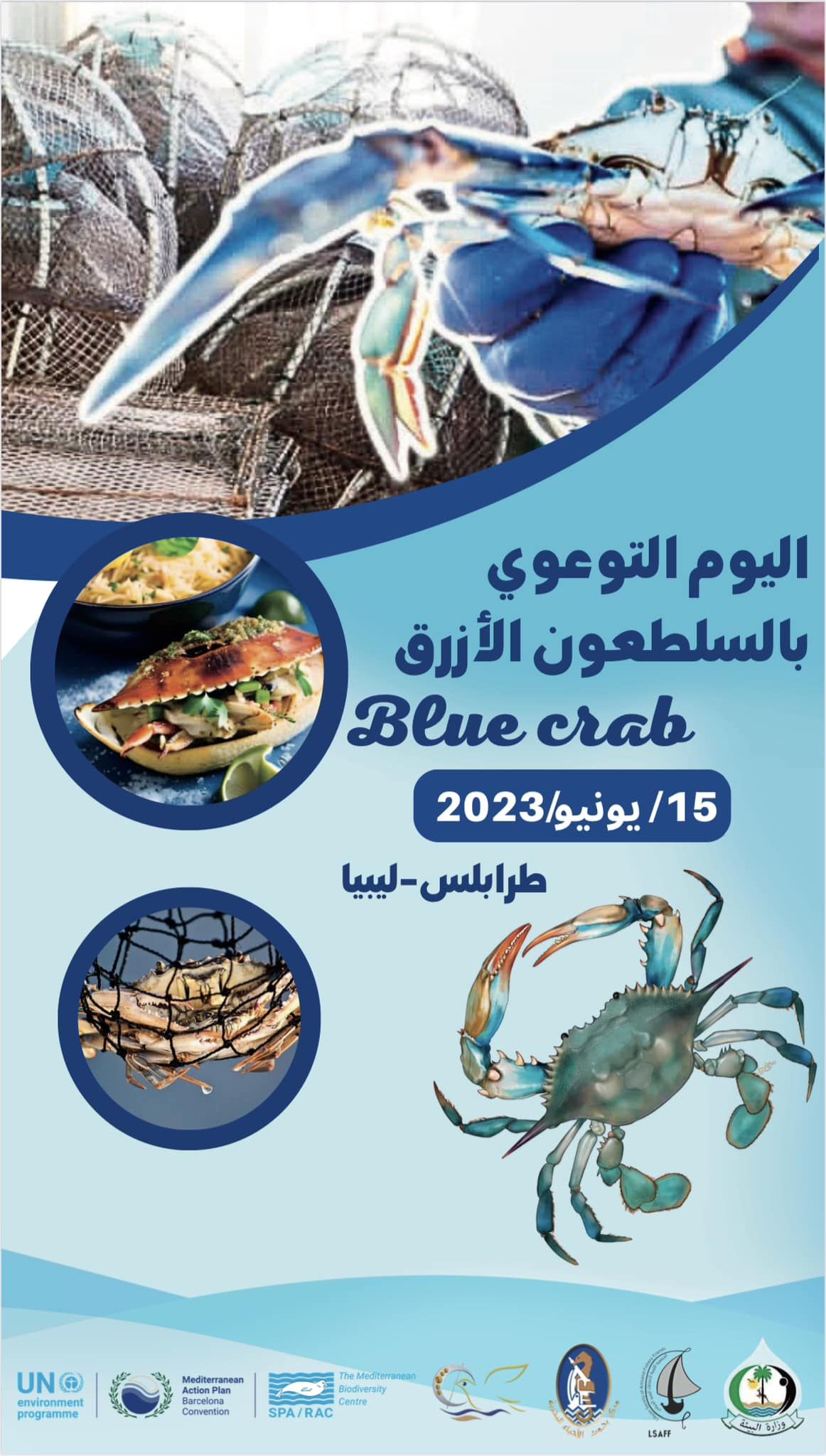 Blue Crab Awareness Day 10 a7747941