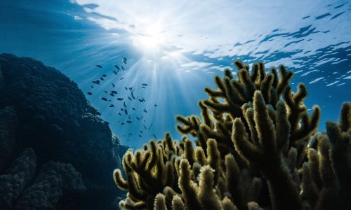 slideshow animation fade ken burns 01