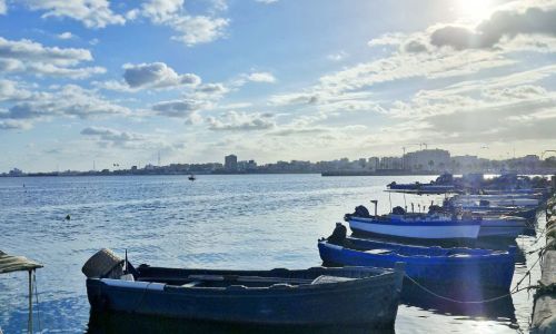 photo 2024 12 01 12 40 22 482a11d2