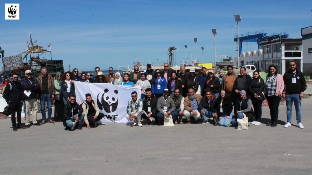 shark camp in djerba 1