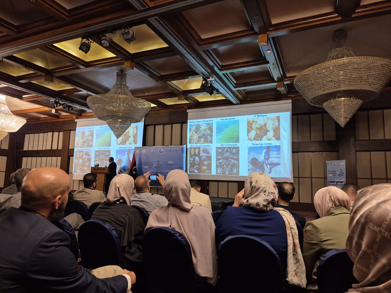 photo 5917743431378126011 y