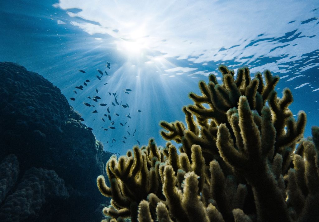 slideshow animation fade ken burns 01 1582c972