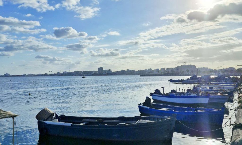 photo 2024 12 01 12 40 22 4e9a9f30