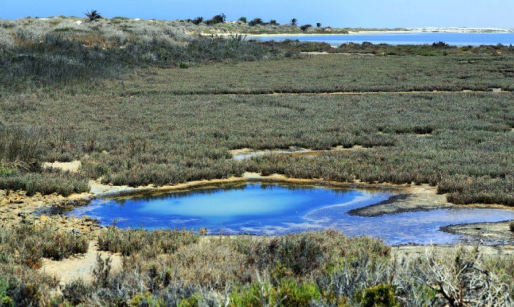 sustainability-of-fishing-in-lake-farwa