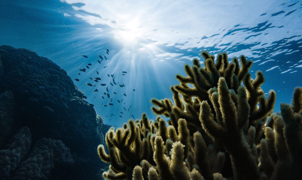 slideshow animation fade ken burns 01 5d10c473