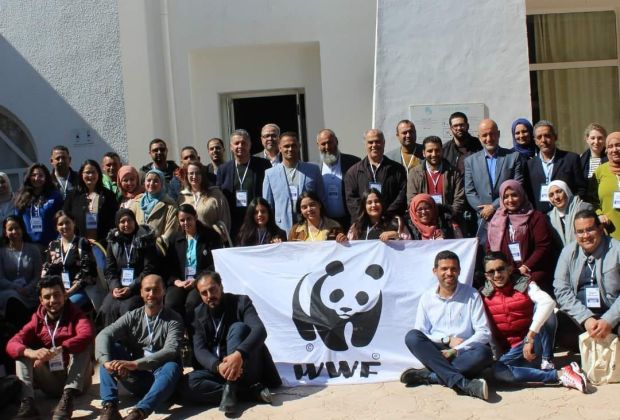 shark camp in djerba 6 b93a48cb